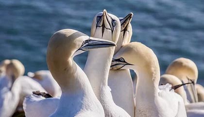 开云体育网站入口-海耶斯执教首赛季即带领美国女足问鼎奥运，美国女足heath